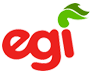 EGI - Euzko Gaztedi