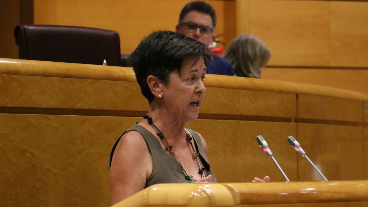 A iniciativa de EAJ-PNV, el Senado creará una Ponencia de Estudio para abordar multisectorialmente el fenómeno migratorio