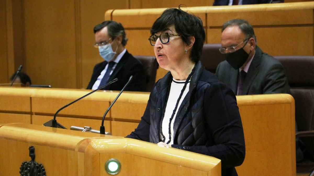 Maria Dolores Etxanok mendekotasunaren murrizketak iraultzea defendatu eta arreta-zerbitzuetan BEZa murriztea babestu du