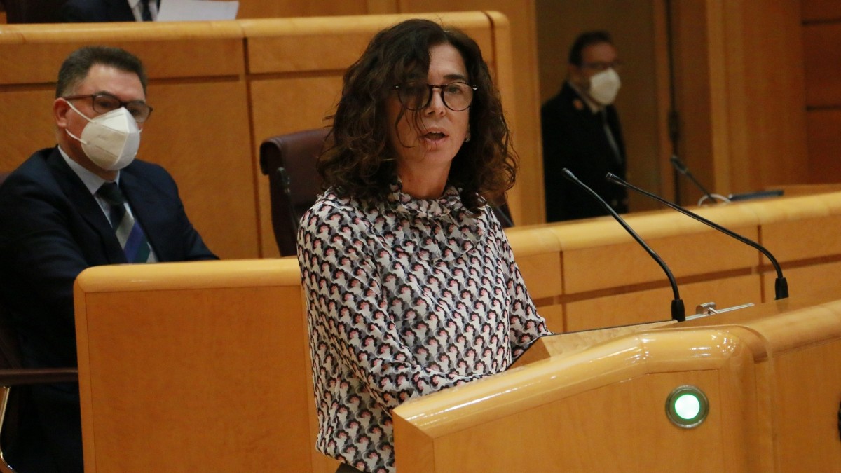 El Grupo Parlamentario Vasco no presentará enmiendas a la LOMLOE en el Senado