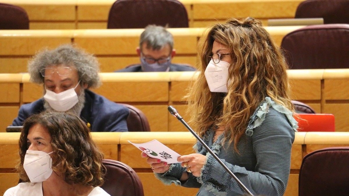 El Grupo Vasco considera “injustificado” el cierre de la muga entre el estado español y Francia y pide explicaciones al ministro Marlaska