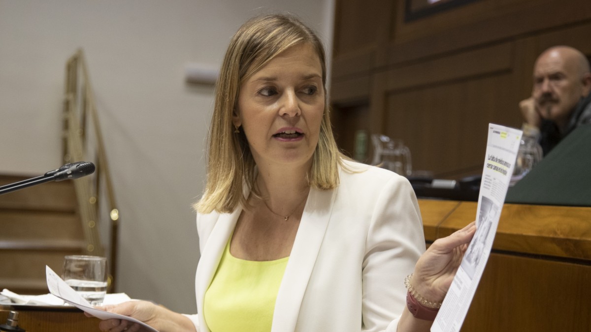 EAJ-PNV acusa a EH Bildu de ser la “mayor promotora del desprestigio” de la sanidad pública con sus mentiras sobre Osakidetza