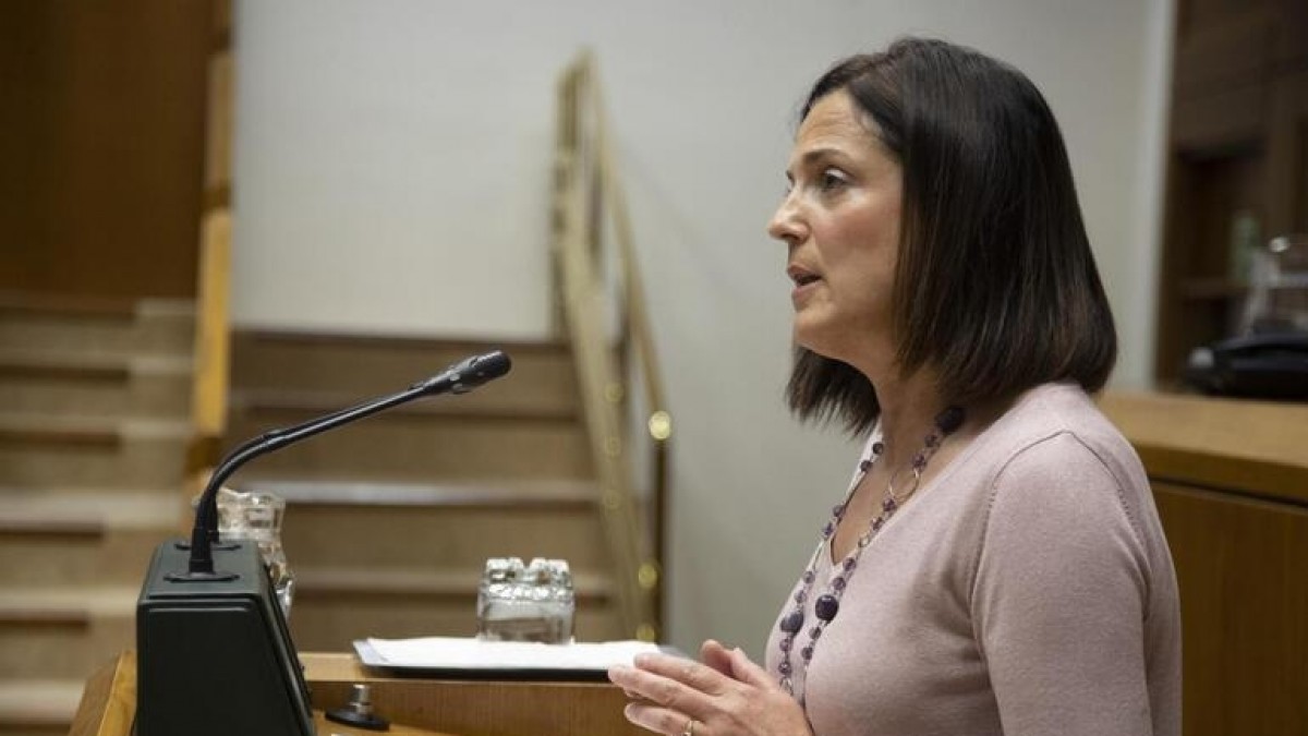 Artolazabal aclara que el ministro Escrivá solo habló de la necesidad de reforzar las plazas de refugiados en Euskadi sin entrar en más detalles