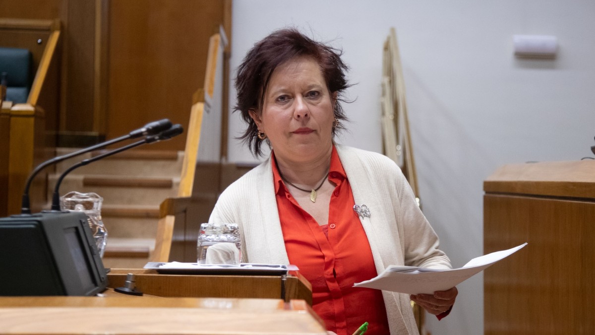 EAJ-PNV reafirma su compromiso con la salud pública y la atención médica de calidad, defendiendo estrategias efectivas para combatir la carencia de médicos