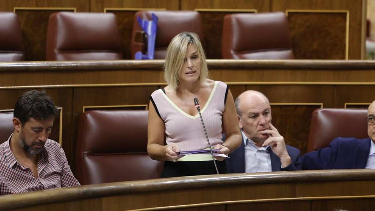EAJ-PNVri erantzunez, Espainiako gobernuak konfirmatu du konpresore berri baten alde egiten duela Irungo gas-hodiaren edukiera handitzeko 