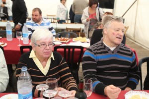 2014ko Alderdi Eguna EAJ-PNV – Gonbidatutako ordezkariei harrera