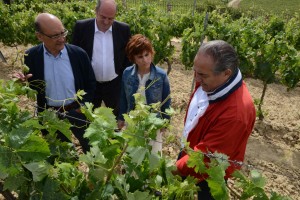Páganos-Guardia. Nekazaritzari buruzko ekitaldia (2016-06-15)
