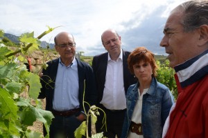 Páganos-Guardia. Nekazaritzari buruzko ekitaldia (2016-06-15)