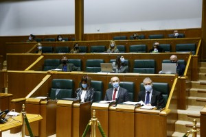 Pleno Ordinario en el Parlamento Vasco (05-11-2020)