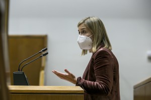 Pleno Ordinario en el Parlamento Vasco (18-02-2021) 