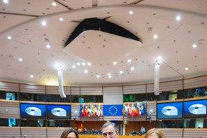 2026 01 27 Aitor Esteban, Bruselan