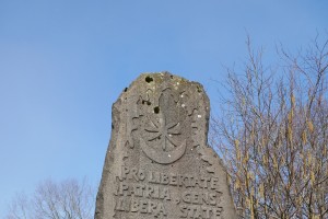 2026 03 01 EAJ, Amiaurren