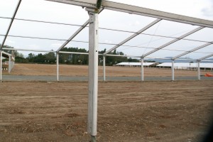 2009. urteko Alderdi Egunerako antolakuntza lanak