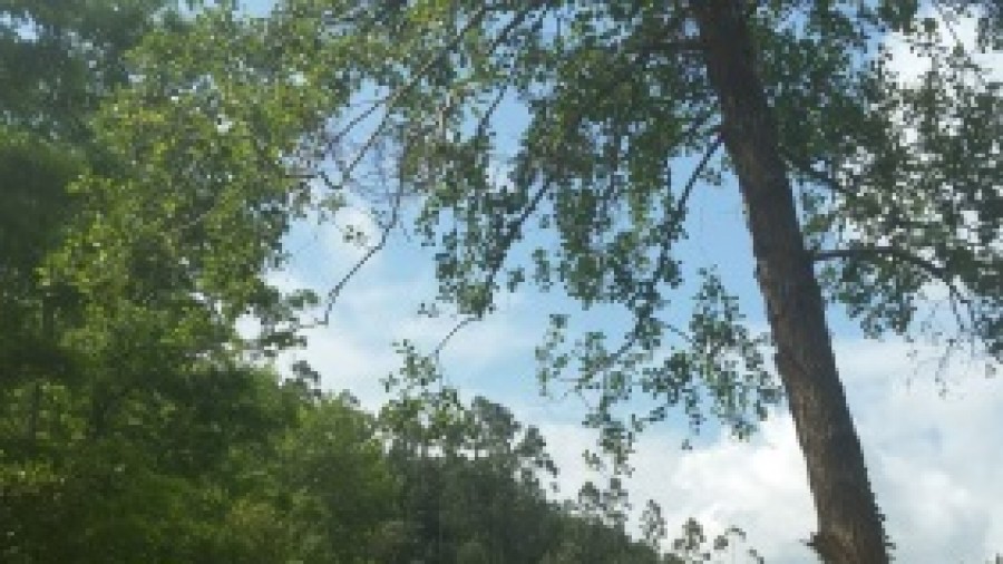 Muskizek Barbaduneko edertasuna erakusten du