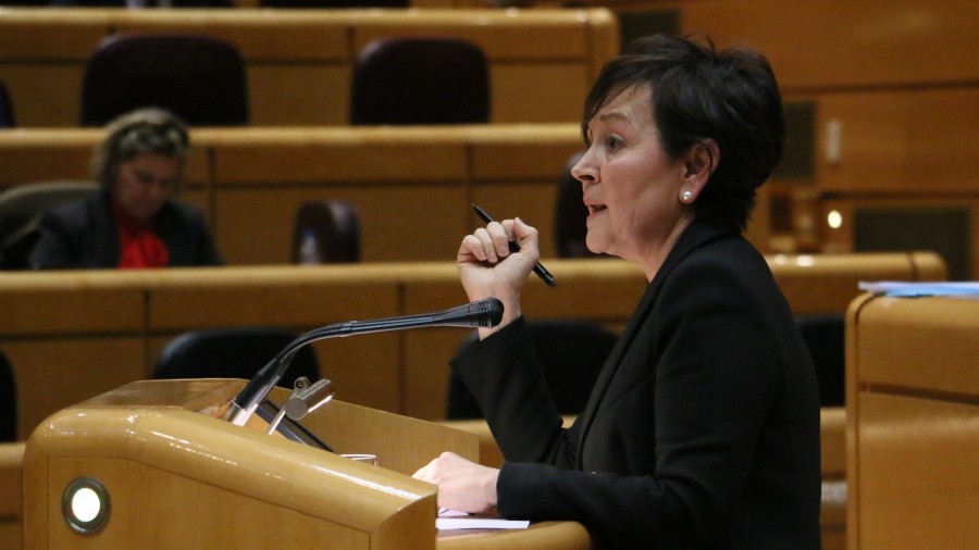 Senatuan Euskadiren eskumenak urratzeko bidea zabalduko zukeen ekimena sustatu izana egotzi dio EAJ-PNVk EH Bilduri