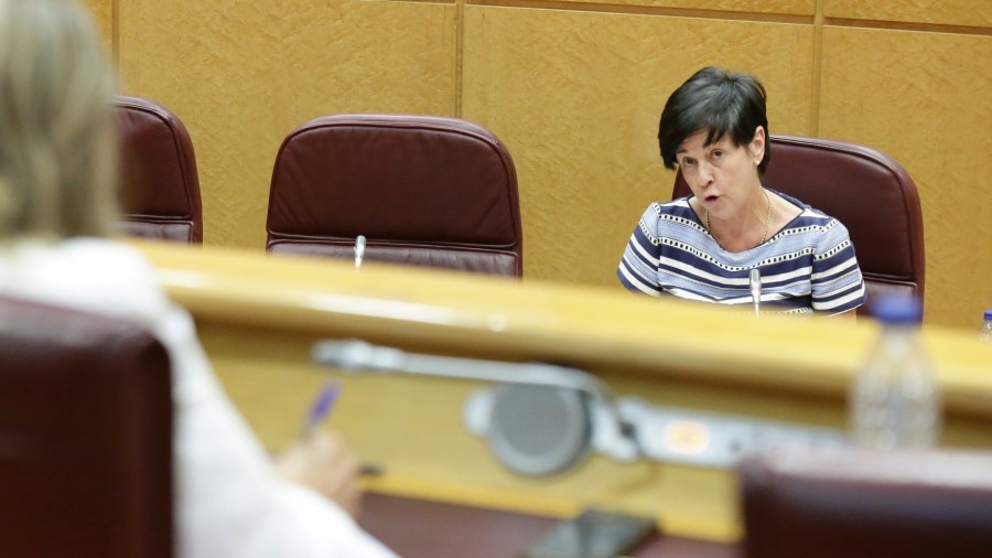 Krisiari aurre egiteko orduan enplegu-politika aktiboak indartzeko beharra defendatu du Nerea Ahedok  