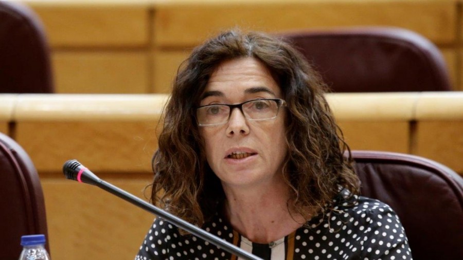 “Eskuduntzak inbaditzeagatik eta hezkuntzaren kalitatean eman den atzerakadagatik” Euskadi kaltetu duen LOMCE legea atzean uzteko premiatu du EAJ-PNVk