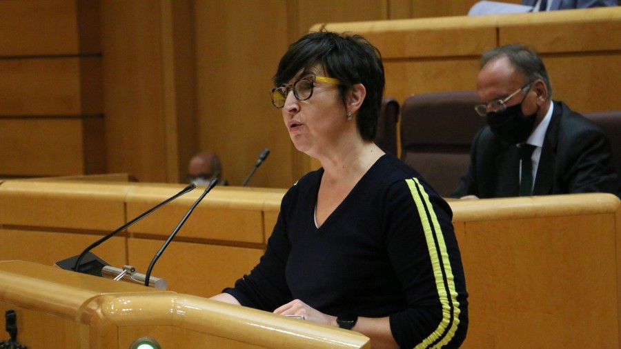María Dolores Etxano emplaza al PP a dejar de lado mociones “populistas y poco creíbles” y apela a la importancia de la política presupuestaria