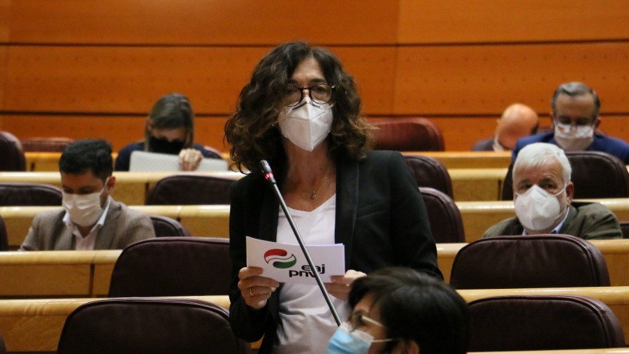Rosa Peral emplaza al Gobierno central a retomar el programa espacial para sustituir al satélite Ingenio