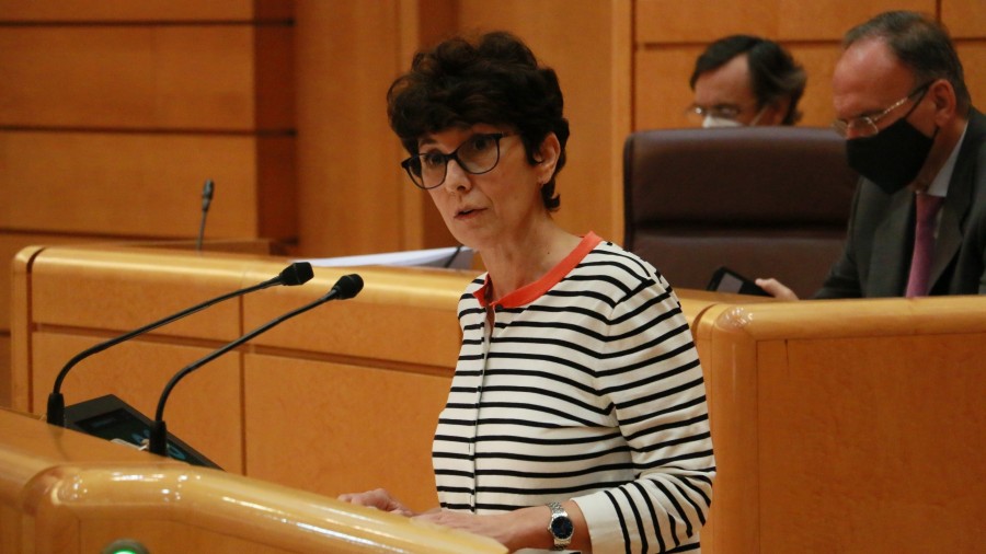 EAJ-PNVk Haurren Legea babestu du, Euskadiren eskumen-eremua babestea lortu ondoren