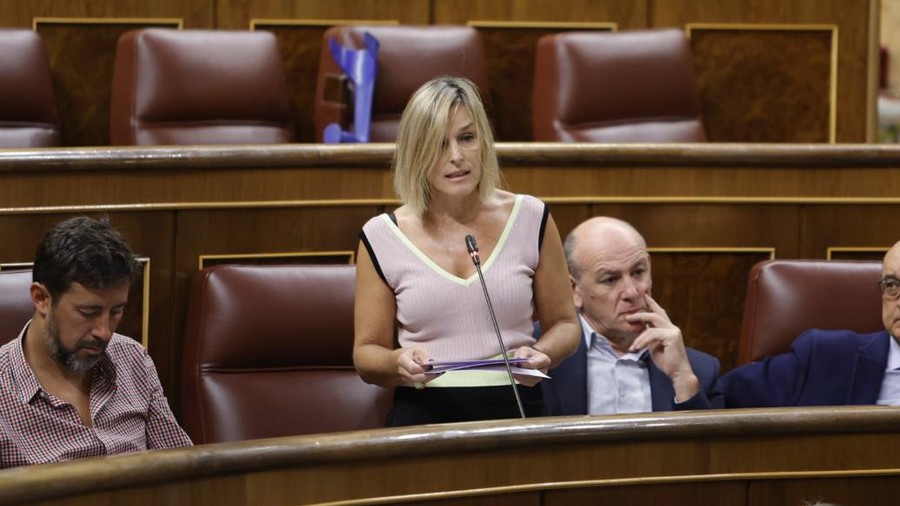EAJ-PNVri erantzunez, Espainiako gobernuak konfirmatu du konpresore berri baten alde egiten duela Irungo gas-hodiaren edukiera handitzeko 