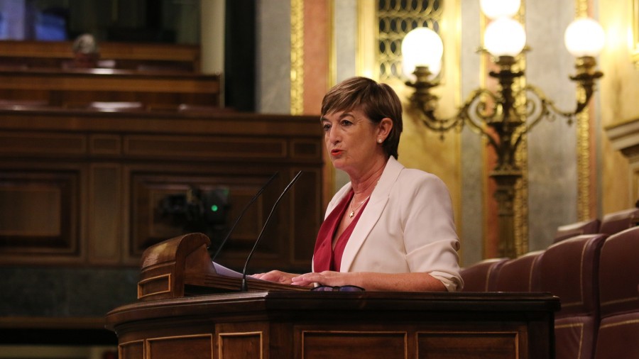 El Grupo Vasco consigue “reorientar” el carácter centralista de la Ley de Cooperación en una primera fase negociadora