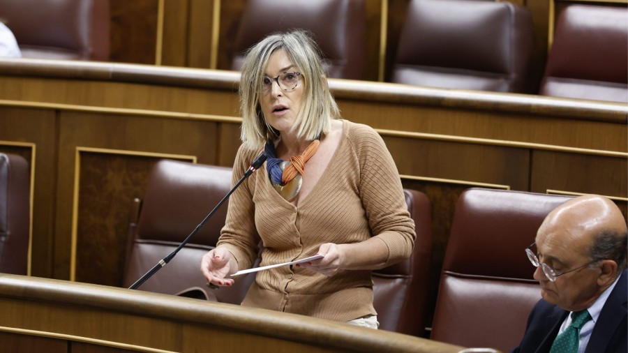 El Grupo Vasco exige agilizar las medidas para proteger a usuarios y menores en plataformas digitales