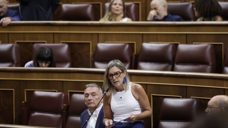 Sagastizabal, al Gobierno sobre las ayudas a las personas con derecho a CUME: “Vamos de promesa en promesa, de anuncio en anuncio y las familias siguen igual”