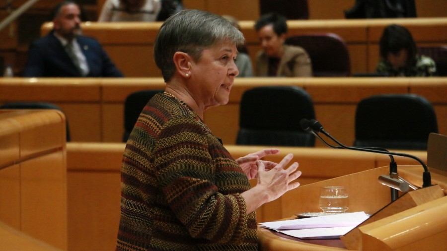 EAJ-PNV apremia al ministro Bustinduy a buscar fórmulas que atiendan a las necesidades específicas de las familias numerosas